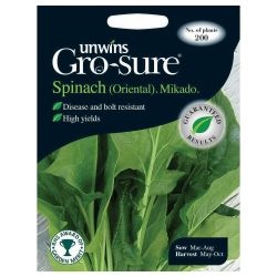Oriental Spinach Mikado F1