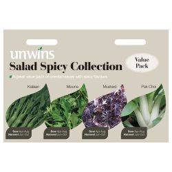 Salad Spicy Collection