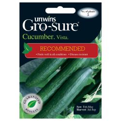 Cucumber Vista F1