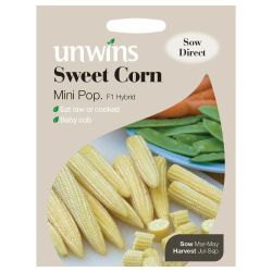 Sweet Corn Mini Pop
