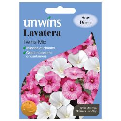 Lavatera Twins Mix