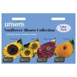 Sunflower Allsorts Collection 4 In 1