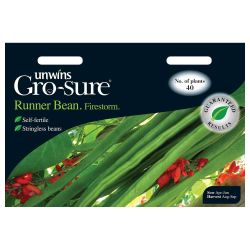 Runner Bean Firestorm