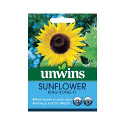 Sunflower King Kong F1