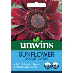 Sunflower Rouge Royale