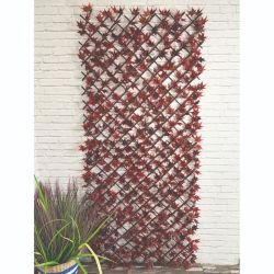 Red Acer Trellis Large H180 W90Cm