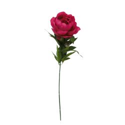 Single Peony Stem Fuchsia 85cm