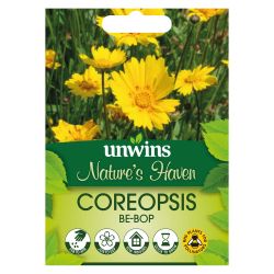 NH Coreopsis Be-Bop