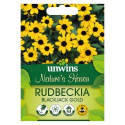NH Rudbeckia Blackjack Gold