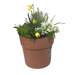 Autumn Doorstep Planter