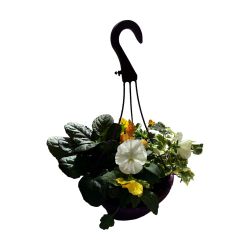 Planted Hanging Basket 25cm
