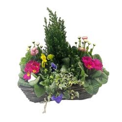 Wicker Window Box 40cm