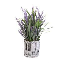 Lavender In Woven Pot