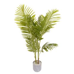 Areca Palm 116cm