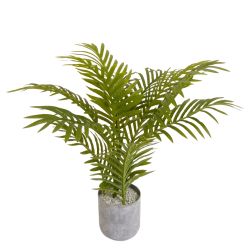 Mini Palm With Plastic Trunk 45cm