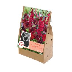 Respect Nature Red Velvet Bulb Collection