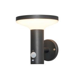 Pilato Solar LED Wall Light Black