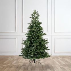 7ft Nordmann Fir Christmas Tree