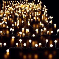 720 Berry Lights Warm White