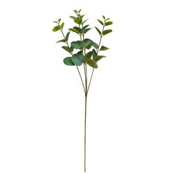 54cms Eucalyptus, Green