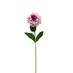 53cms Single Dahlia Stem, Peach