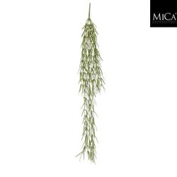 Springeria Hanging Green