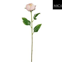 Peony Stem Pink 60cm