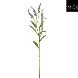 Veronica Stem Purple 68cm