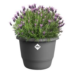 amiga round 35cm anthracite