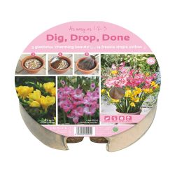 Dig Drop Done Tray 24 Cm