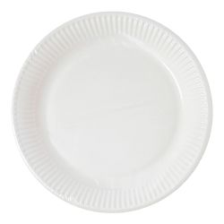 White Paper Plates 23cm 10 Pack