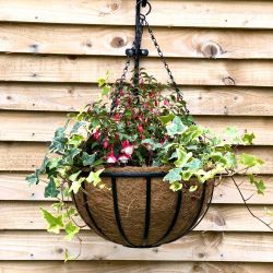 Pre formed Coco Hanging Basket Liner 14in 35cm