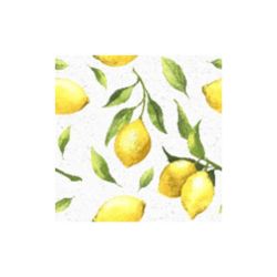 Napkin 33x33 cm, Citrus