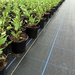 Premium Woven Membrane Weedblock 1m wide sold by the linear metre