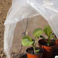 Clear Polythene 100mu 2m wide folded to 1m sold by the linear metre