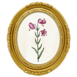 Gold Oval Photo Frame 6x8