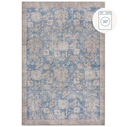 Orelia Global Blue 152X230