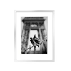 Silver Stainless Steel Box Frame 7x9 matted to 5x7