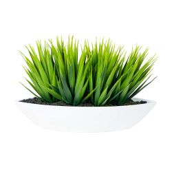 Grass With White Pot