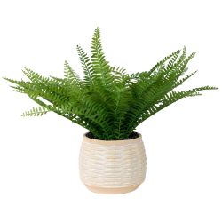 Artificial Fern Potted 34Cm