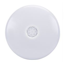 Smart WiFi 24W LED Ceiling Wall Bulkhead with Bluetooth Speaker, 2700K to 6500K & RGB CCT & Dimmable