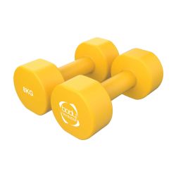 Neoprene Dumbbells 2x8KG