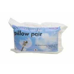 Anti Allergy 2 Pack Pillow