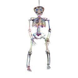 Hanging Skeleton 41cm
