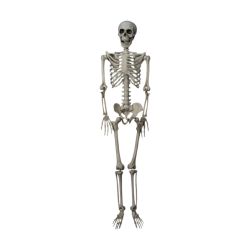 Hanging Posable Skeleton 90cm