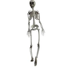 Hanging Skeleton 90cm