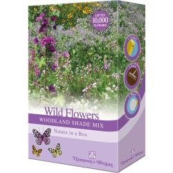 Wild Flowers Woodland Shade Mix