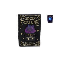 Book With Crystal Led B/O 15cm Purple