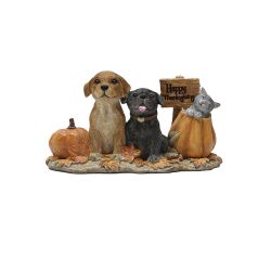 Pumpkin And Dog 17cm