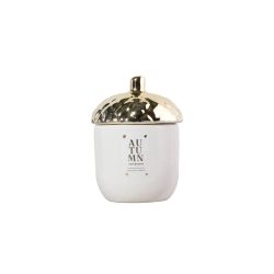 Autumn Icon Acorn Candle